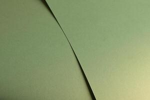 Muted olive green paper background with a smooth matte texture. Soft sage and moss tones create a photo