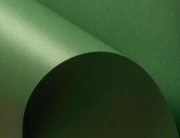 Deep green paper background with a smooth matte texture and subtle wavy edges. Earthy olive and photo