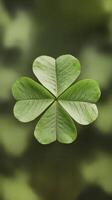 Lucky symbol clover leave few bright green clover leaves on blured green background mockup for design and copy space snt patrick day symbol photo