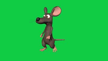 3d cartoon mouse, rat Walk loop animation isolated on green screen background video