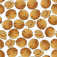 Seamless pattern with walnut, hand-drawn illustration vector