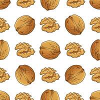 Seamless pattern with walnut on white background, hand-drawn illustration vector