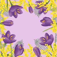 Spring background, card with crocus and mimosa flowers. Square format with copy space. vector