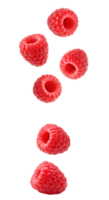 raspberries falling down . raspberry . Fresh and plump raspberries falling in a natural pattern . organic and ripe raspberry fruit full of vitamins png