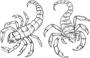 Line art scorpion isolated on white, various types of scorpion. vector
