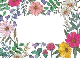 square frame of different wild herbs and flower vector