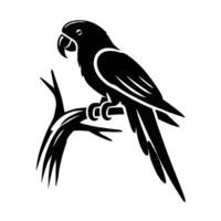 A black and white parrot sitting on a branch vector