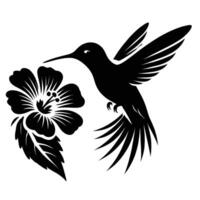 Hummingbird with flower vector