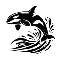 Killer whale jumping out of the water vector