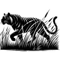 A tiger walking in the grass vector