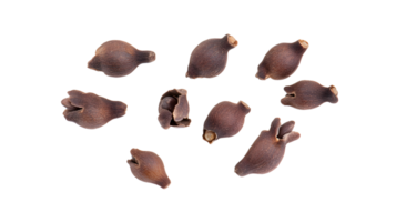 Detailed close up of aromatic clove buds showcasing their natural texture and form png