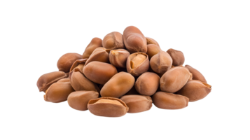 Close up studio shot showcasing the textures and details of delicious tamarinds png