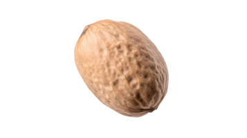 Close up studio shot of whole nutmeg showcasing detailed texture and natural form png