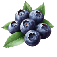 Tasty Blueberries with Fresh Leaves on Transparent Background png