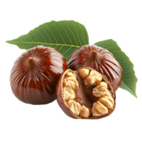 Shiny brown chestnuts with open nut on transparent background png