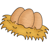 eggs in a nest png