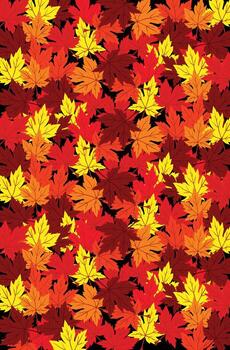 arce hoja antecedentes vector