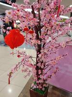 A red lantern hanging on a money tree photo