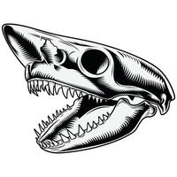 A shark skull with its mouth open vector