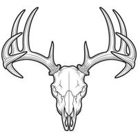A deer skull with horns and antlers vector