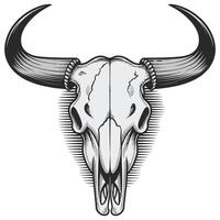 Bull skull with horns and long horns on a white background vector