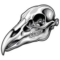 Black Silhouette of a Bird Skull. vector