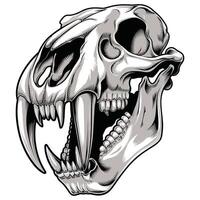 A skull with fangs and teeth on a white background vector