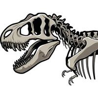 A t - rex skeleton with its mouth open vector