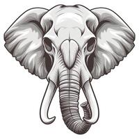 An elephant head with tusks on a white background vector