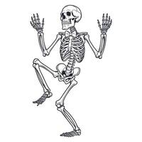 A skeleton is dancing in a black and white drawing vector