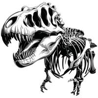A dinosaur skeleton is shown in this drawing vector