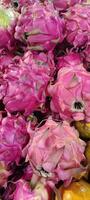 View of some dragon fruits in display photo