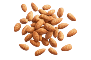 An Almonds are nutritious nuts, often used in cooking and snacking. They are rich in healthy fats and provide crunchy texture, making them popular choice for various dishes png