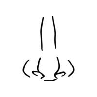 close up full face view of nose with a small hump - hand drawn line art vector