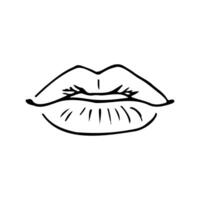 close up of lips full face with folds - hand drawn line art vector