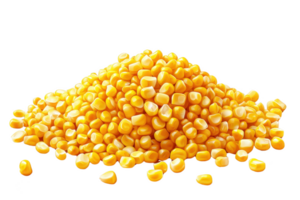 A Fresh yellow corn kernels piled high, showcasing their vibrant color and texture, perfect for culinary uses or as decorative element png