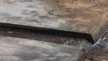 sewer discharge with contaminated water is causing pollution in the water video