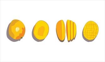 Mango slices in different stages of ripeness vector