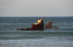 Pelicans Perched on the Remains of a Shipwreck photo