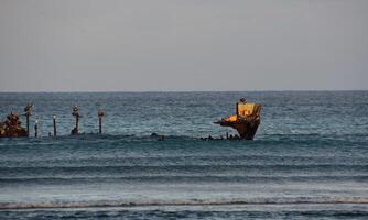Shipwreck Jutting Out of the Ocean Waters in Aruba photo