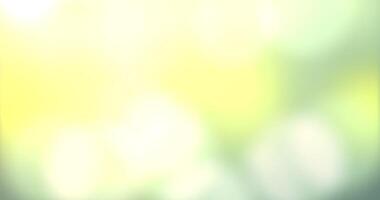 Sunlight shining through the leaves of trees. Loop Animation video