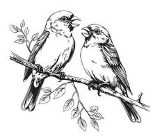 Black and white sketch of a canary bird singing on a branch illustration vector