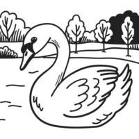 Graceful swan swimming in a serene lake black and white line art in nature setting, tranquil and peaceful vector