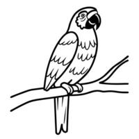 Illustration of a parrot on a branch black and white line art of a tropical bird, exotic wildlife drawing vector