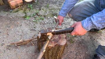 Lumberjack splitting small branch with hatchet on tree trunk video