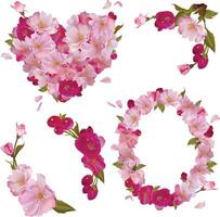 Spring cherry blooming heart, oval frame and branches with gentle sakura pink flowers, elements set for your design vector