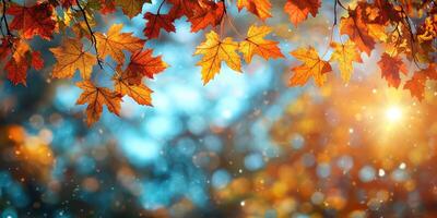 Vibrant autumn leaves shining under soft sunlight in a serene natural setting photo
