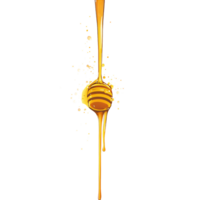 Sweet, Pure Honey Drizzling in a Steady Flow png