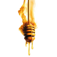 A honey dripping from a stick on a black background png