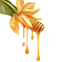 Honey dripping from a flower and a honeycomb png